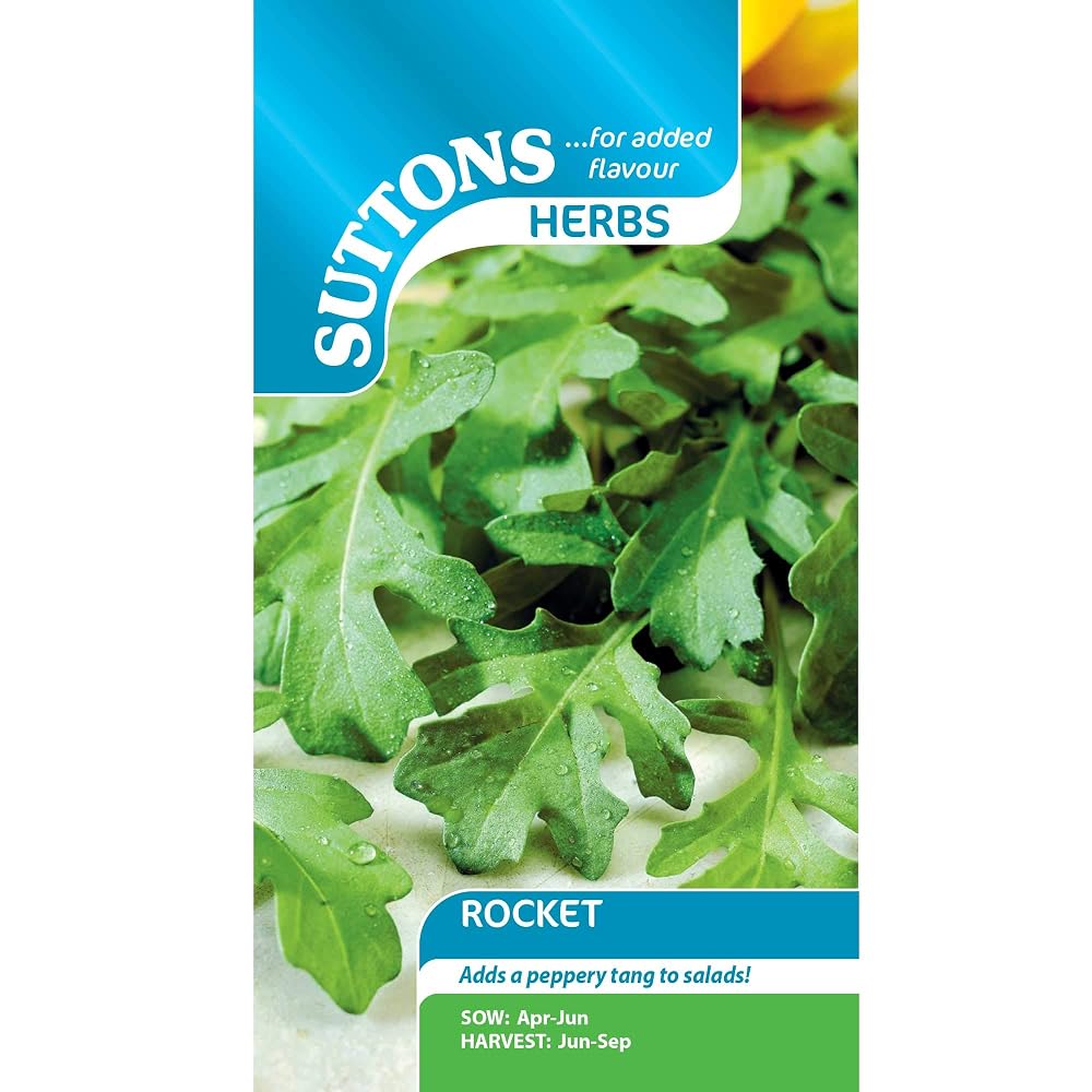 Suttons Rocket Seeds, Approx. 350 Seeds, Salad Rocket