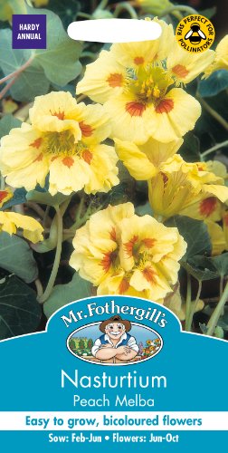 Mr Fothergill's Nasturtium Peach Melba Flower Seeds