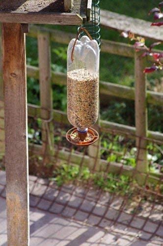 Bottle Top Bird Feeder Kit