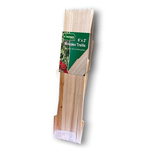Kingfisher TRELIS1 6 x 1 ft Garden Trellis, Brown