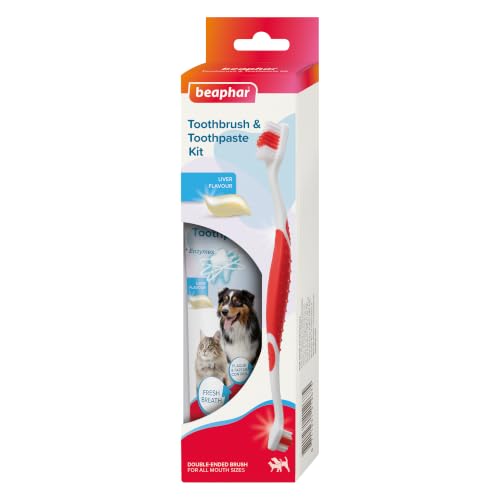 Beaphar Toothbrush & Toothpaste Dental Care Kit for Dogs & Cats, Liver-Flavoured Enzymatic Toothpaste, 100g