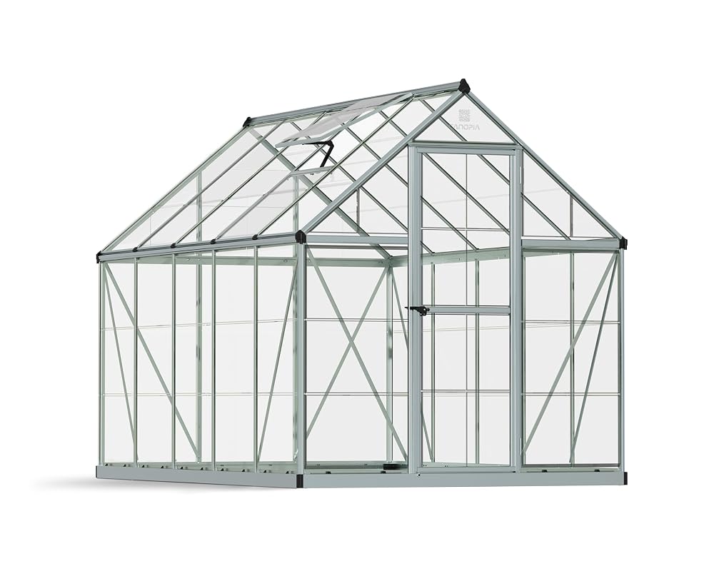 Palram Canopia Harmony 6x10 Silver Greenhouse, Clear Polycarbonate, Base Included