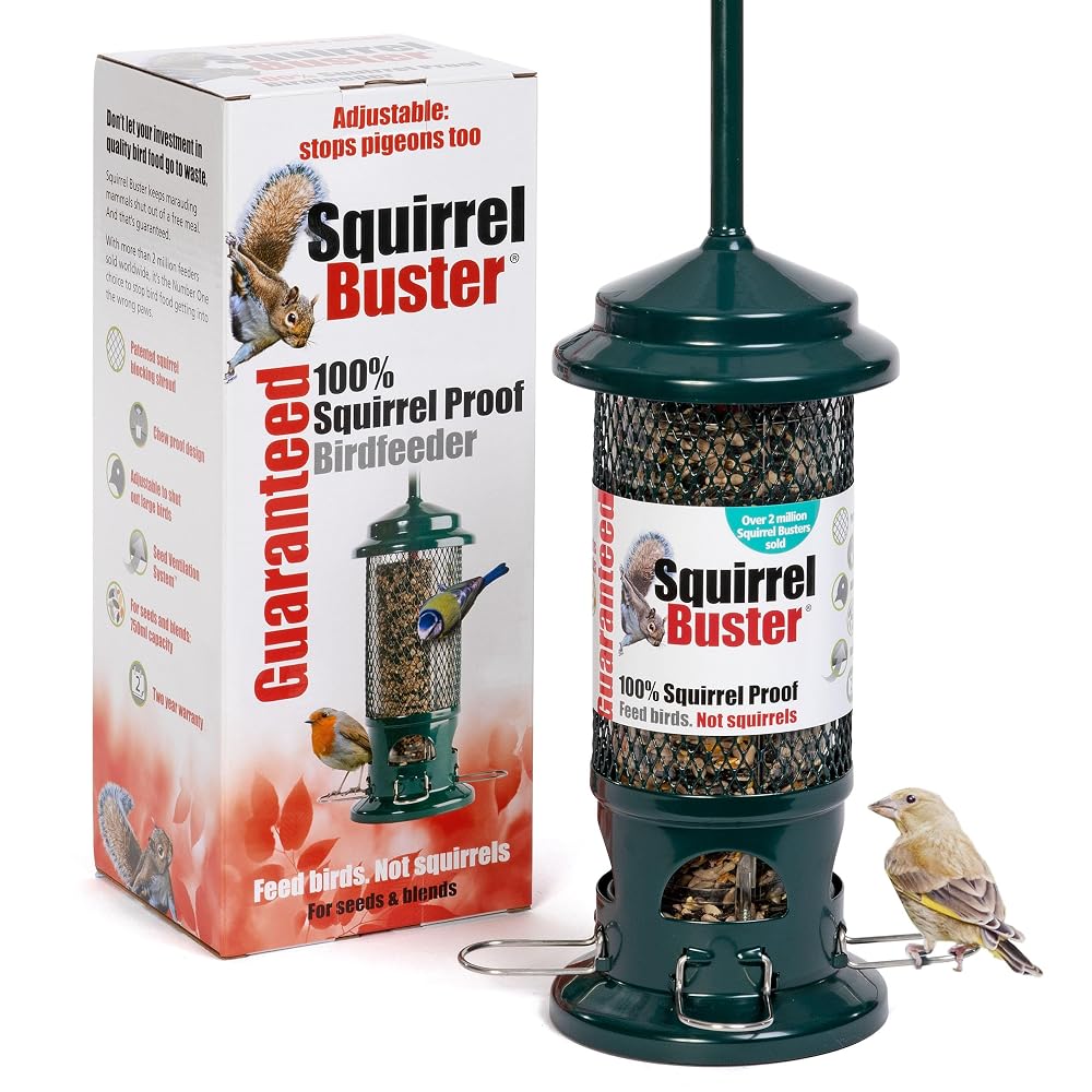 Squirrel Proof Bird Feeder for Seeds - Jacobi Jayne Squirrel Buster Bird Feeder, Metal Hanging Station for Garden Birds