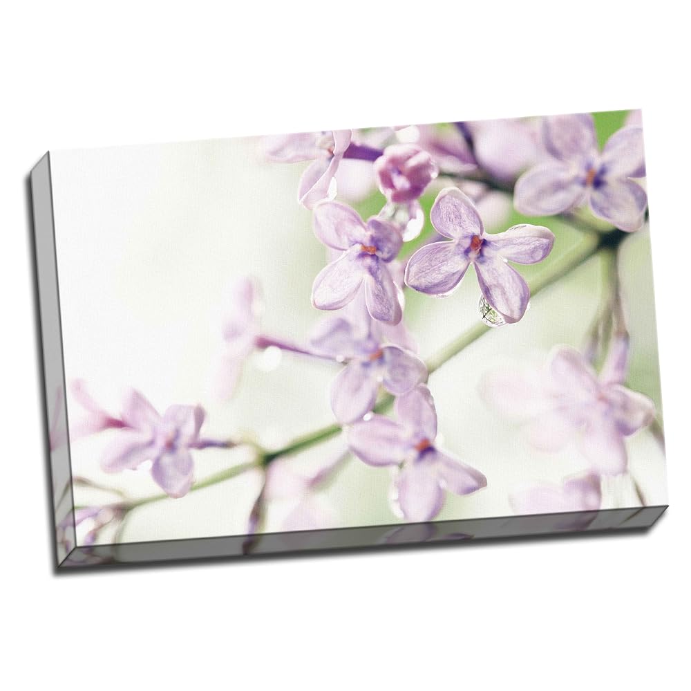 Large Lilac Floral Framed Canvas Picture Wall Art Print, 20x30 Inches A1