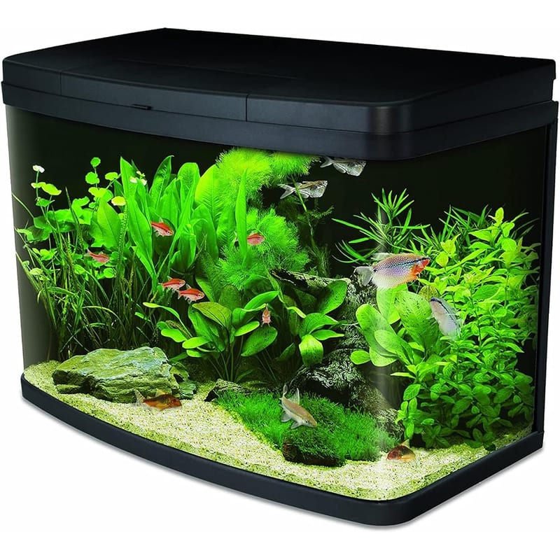 Interpet Insight Glass Aquarium Fish Tank Starter Kit, with LED Lights, Easy Care Filter, Heater, Aquacare Reminder System, Water Conditioner, 64 L