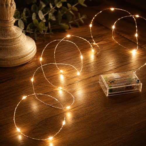 Festive Lights 2m 6ft 20 LED Battery Operated Decorative Micro Firefly Fairy String Lights with Silver Wire, Christmas, Wedding Decor, Party, Home Indoor Decoration (Warm White)