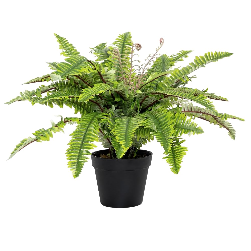 Blooming Artificial Boston Fern Indoor Plant 50cm, Potted Faux Fern for Home and Office Décor