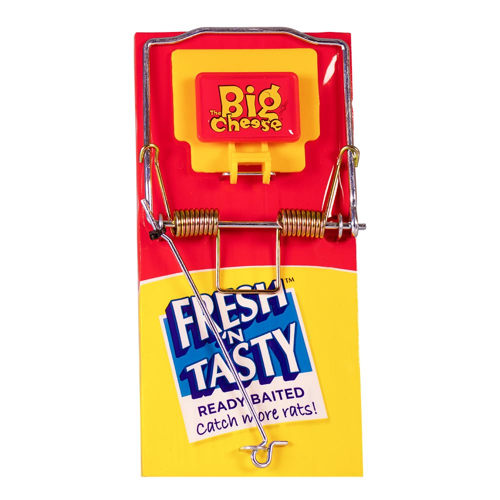 The Big Cheese Fresh Baited Rat Trap, Kills Rats with Spring Mechanism, Ready-To-Use, Plastic Coated Wood for Easy Cleaning, Indoor and Outdoor Use