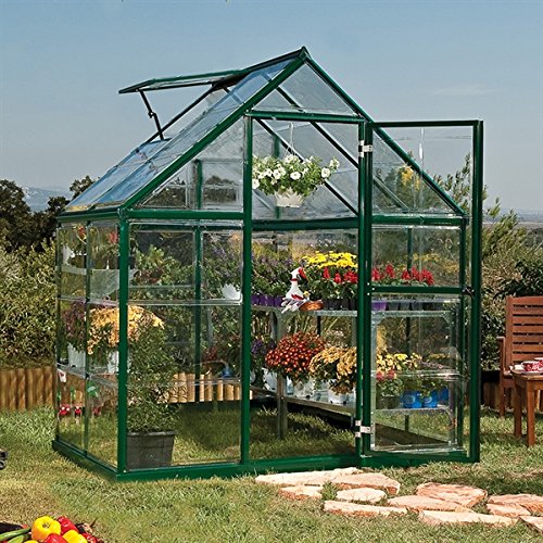Palram 6'x4' (1.8 x 1.2m) Harmony Green Greenhouse, Clear Polycarbonate