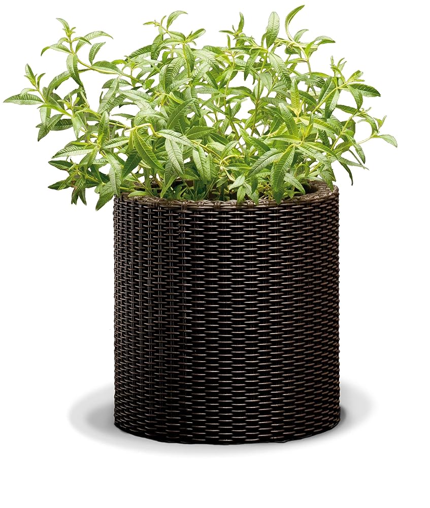 Keter Medium Rattan Pot, Round Base, 100% Recycled Material, 18L, Chocolate Brown