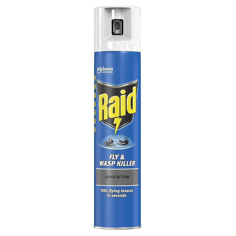 Raid Rapid Action Fly & Wasp Killer, Fly Killer Spray for Indoor Use, 300ml