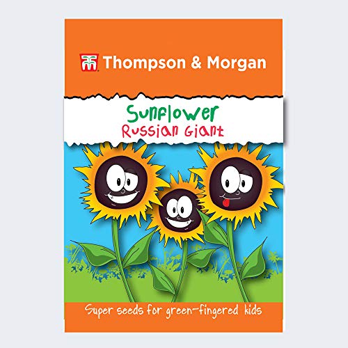 Thompson & Morgan Sunflower Russian Giant Seeds