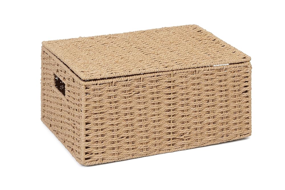 Arpan Natural Paper Rope Storage Basket Box with Lid, Large