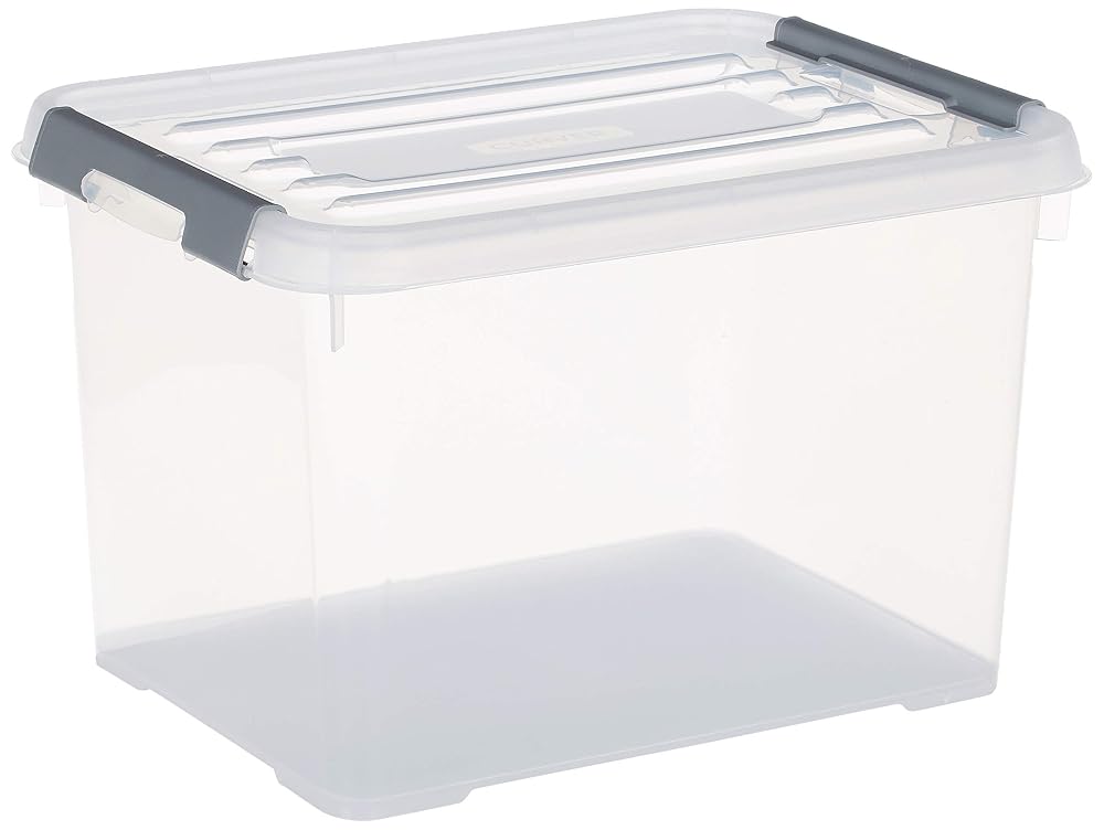 Curver Handy Plus Storage Box with Lid, 20L, Transparent/Silver, 40 x 29 x 25cm