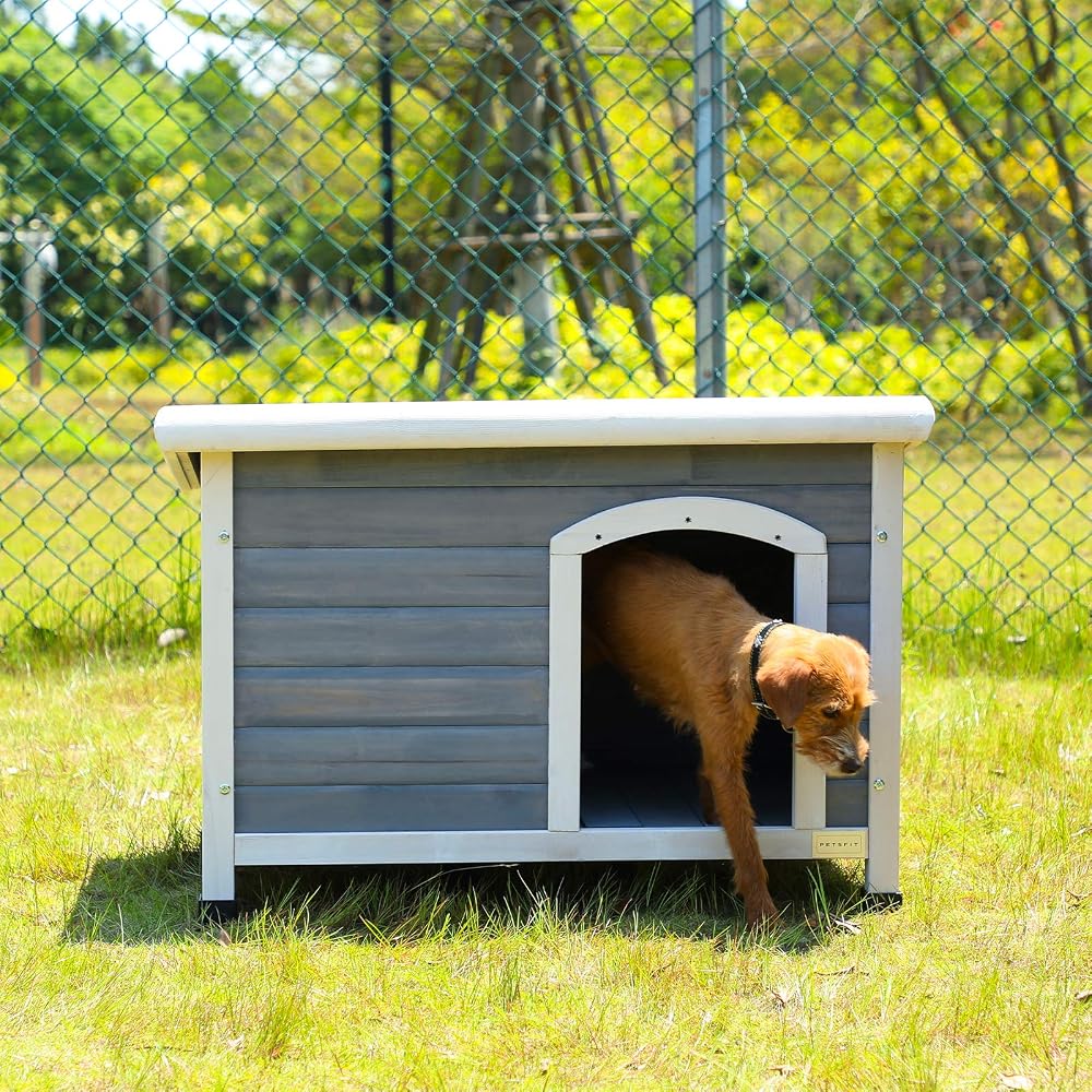 Petsfit Outdoor Dog House with Removable Floor for Easy Cleaning, Insulated Outdoor Wooden House, Pitch Roof, Small Hide Shelter