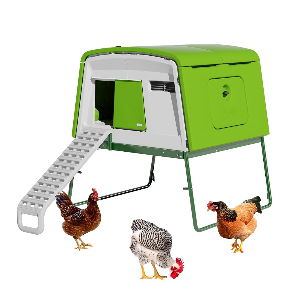 Omlet Eglu Cube Large Chicken Coop, Green