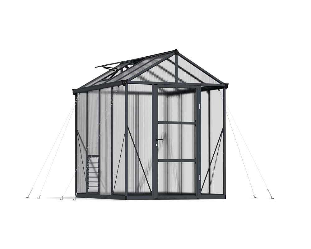 Palram Canopia Glory Greenhouse 6x8, Grey/Clear
