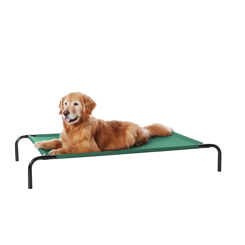 Amazon Basics Raised Dog Bed, Cooling Breathable Elevated Pet Bed, Large, Green (130 x 80 x 19 cm)