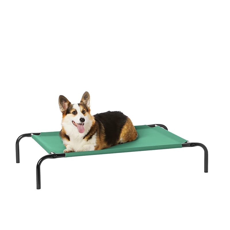 Amazon Basics Raised Dog Bed, Cooling Breathable Elevated Pet Bed, Medium, Green (110 x 65 x 19 cm)