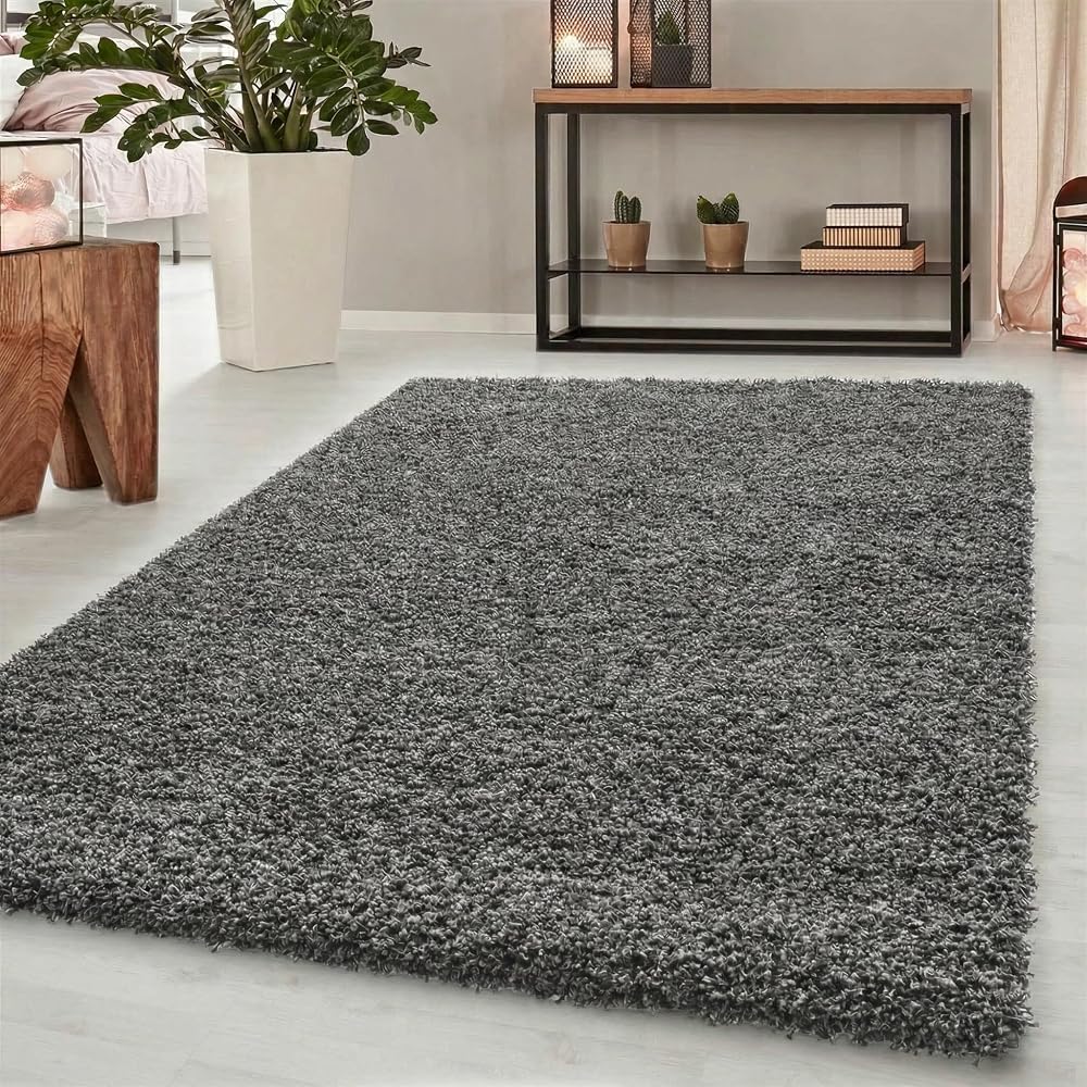 Abaseen Shaggy Rug, Soft Touch Thick Pile Living Room Area Rug, Non Shedding, Dark Grey, 120x170cm