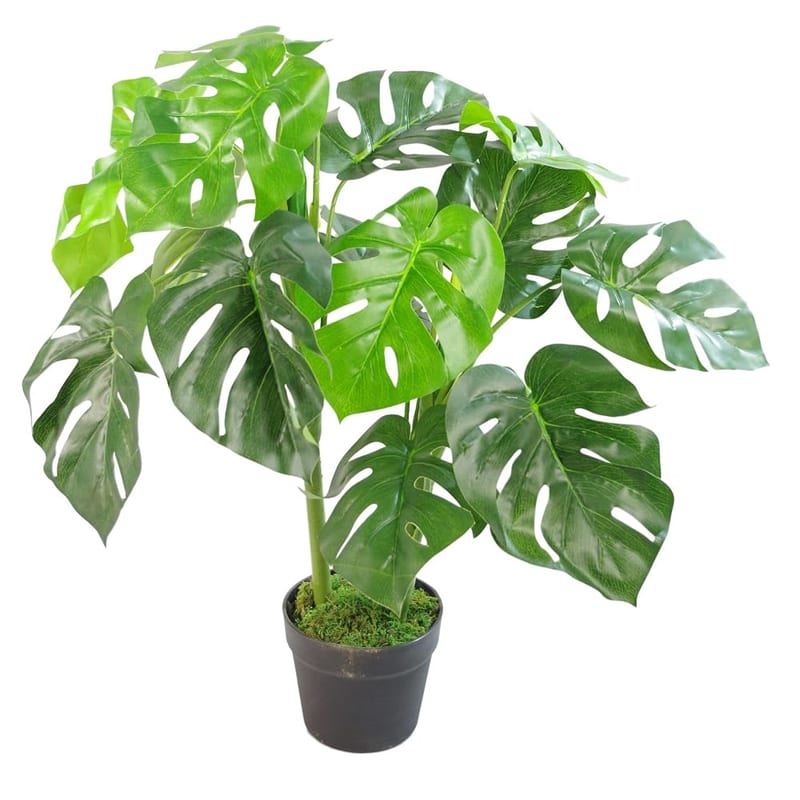Leaf LEAF-7151 Artificial Monstera Plant, 80cm, Black Pot, Realistic Indoor Cheese Plant for Home and Office