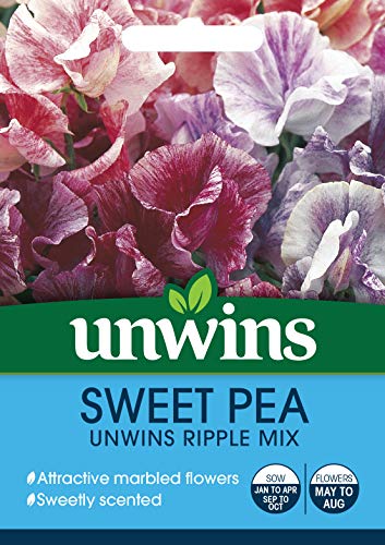 Unwins Sweet Pea Ripple Mix Seeds