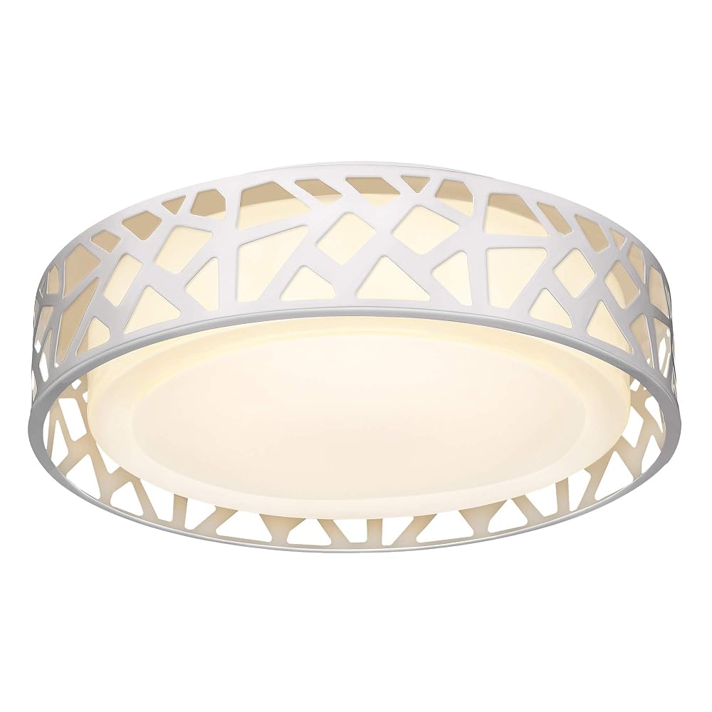 VICNIE LED Flush Mount Ceiling Light, 14 Inch Dimmable Round Fixture, 3000K Warm White