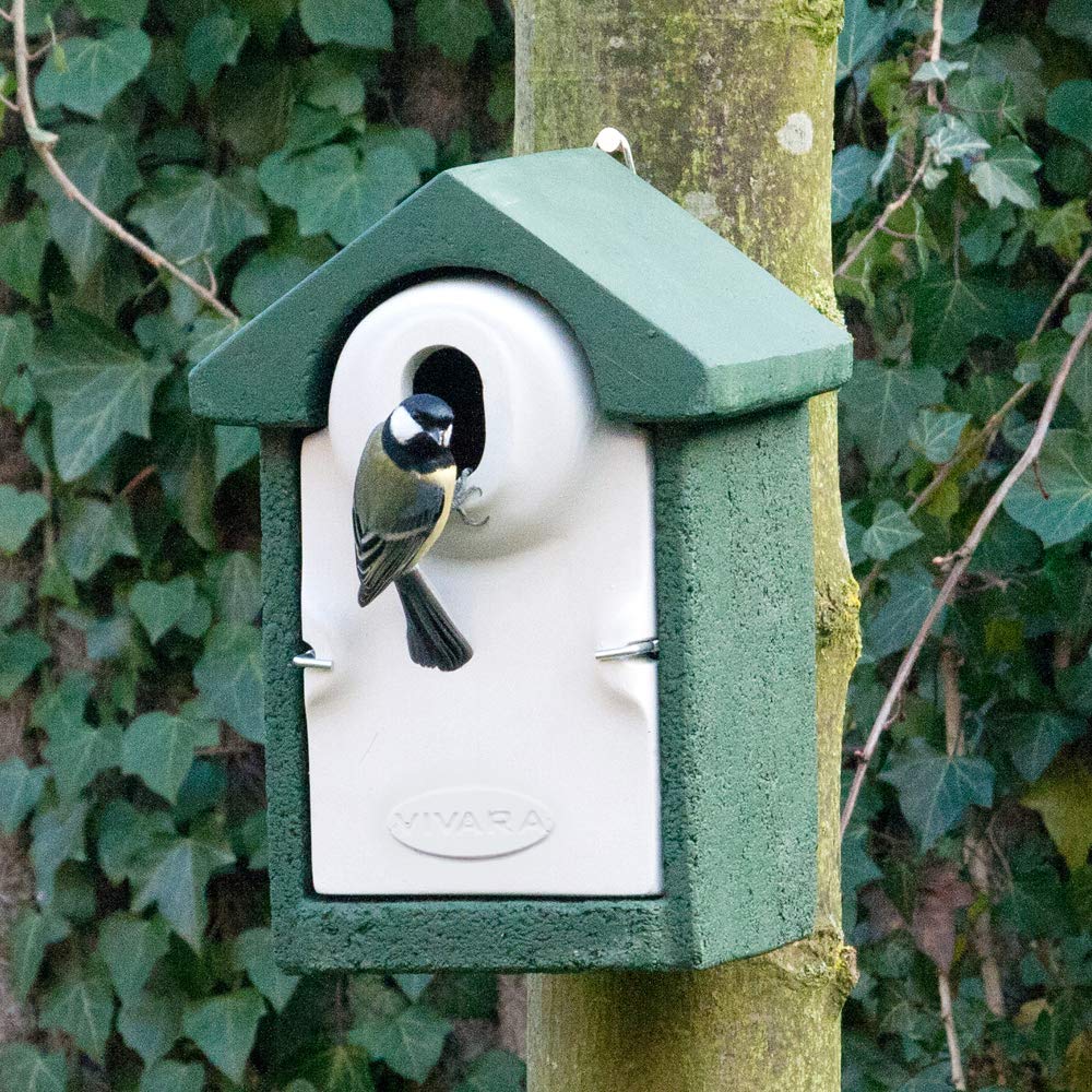CJ Wildlife Bird Box for Gardens – WoodStone Green Bird Nesting Box – Predator-Proof Concrete and Wood Fibre – For Great Tits, Nuthatches & Tree Sparrows – 32mm Hole