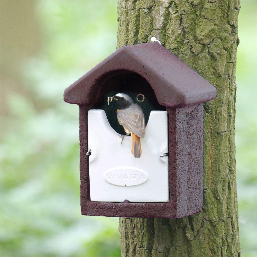 CJ Wildlife Bird Box for Gardens – Bird Nesting Box WoodStone Brown – Long-Lasting Wood and Concrete Mix – Predator Resistant – Consistent Temperature Insulation