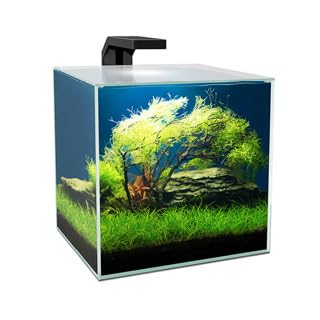 Ciano Cube Glass Aquarium Includes LED Lights & Filter (Cube 15, 14 Litres)