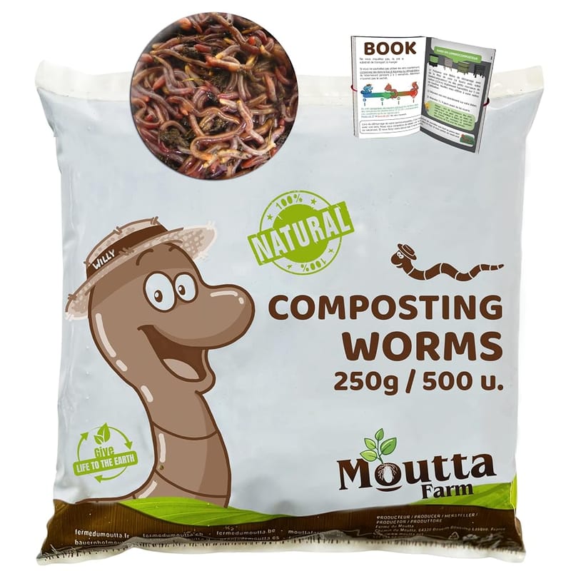 WormBox Live Eisenia Earthworms, Compost Your Organic Waste - For Worm Farm/Wormery/Composter/Garden (250 gr)