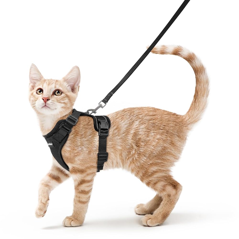 rabbitgoo Cat Harness and Lead Set, Escape Proof Vest with Soft Breathable Mesh and Reflective Strips