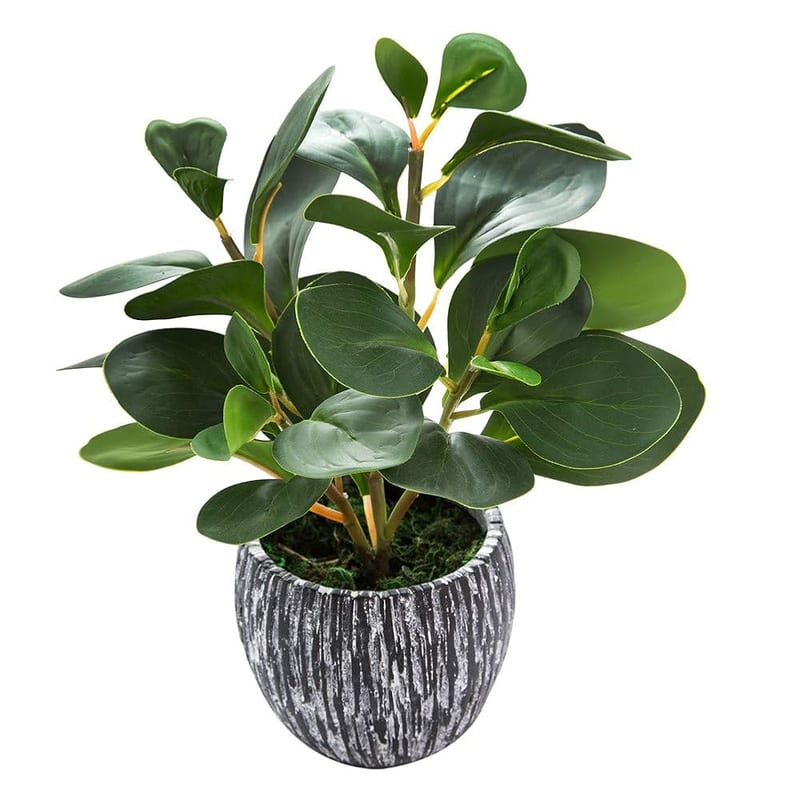 AlphaAcc Artificial Plants Real Looking and Touching Fake Plant Evergreen Plastic Fiddle Leaf Fig Plant with Rustic Black Cement Planter