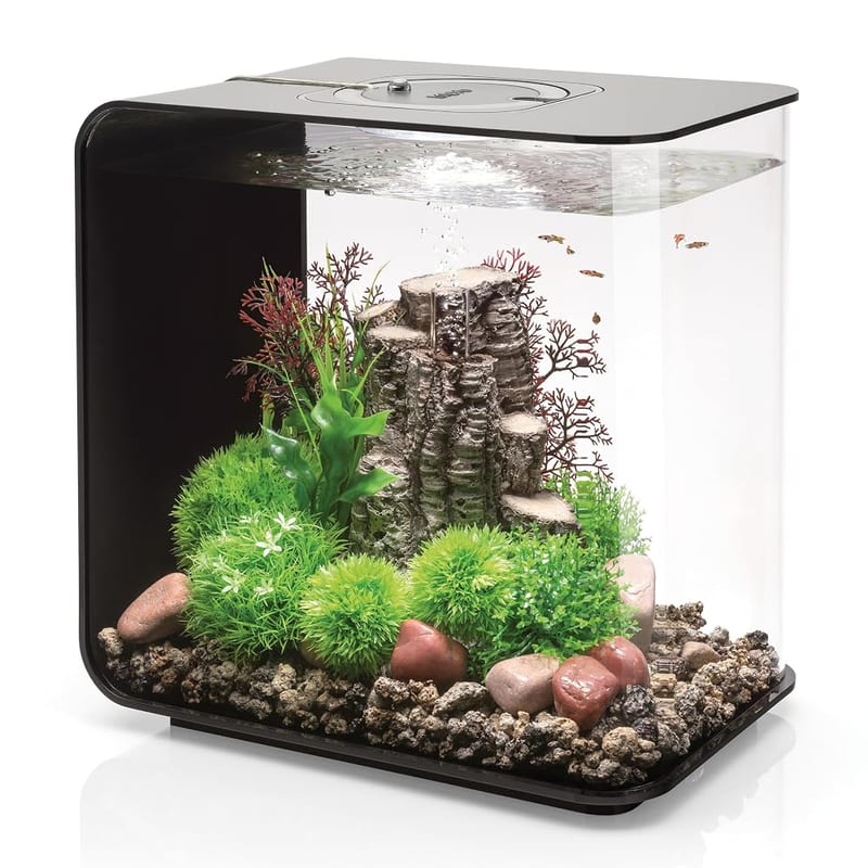 biOrb FLOW 30 Aquarium With Integrated LED Lights (Black, 30 Litres), Perfect Beginner Fish Tank, Quick & Easy Set Up, 3 Transparent Sides & 5-Step Filtration System, Acrylic Fish Tank
