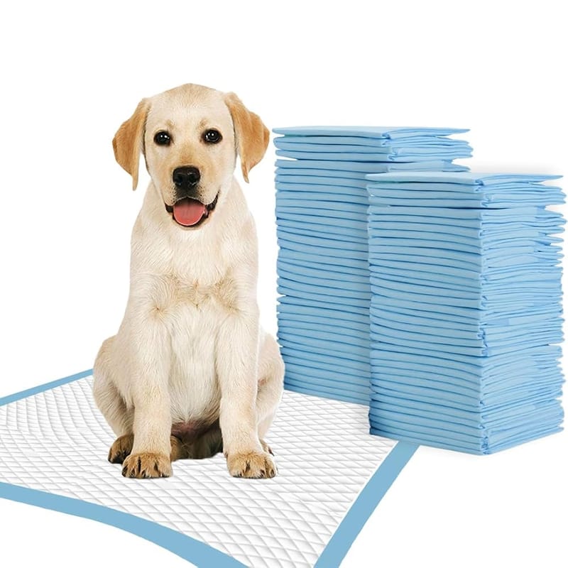 TBM Puppy Pads Large Size, Pack of 50, 60 x 60cm, Super Absorbent Dog Training Pads