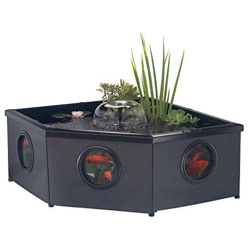 Blagdon Affinity Grand Corner Living Water Feature Patio Pool Pond, with Inpond 5-in-1 3000 Filter Pump & UV Clarifier, LED Sotlight, 3 Fountain Feature Heads, 1 Planting Basket - Large