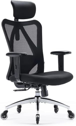 SIHOO M57 Ergonomic Office Chair Mesh Desk Chair with Adjustable Lumbar Support, 3D Armrests, Breathable High Back Computer Chair (Grey)
