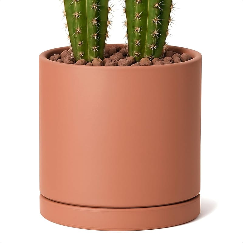 D'vine Dev Large 10 Inch Terracotta Plant Pot with Drainage Hole and Saucer