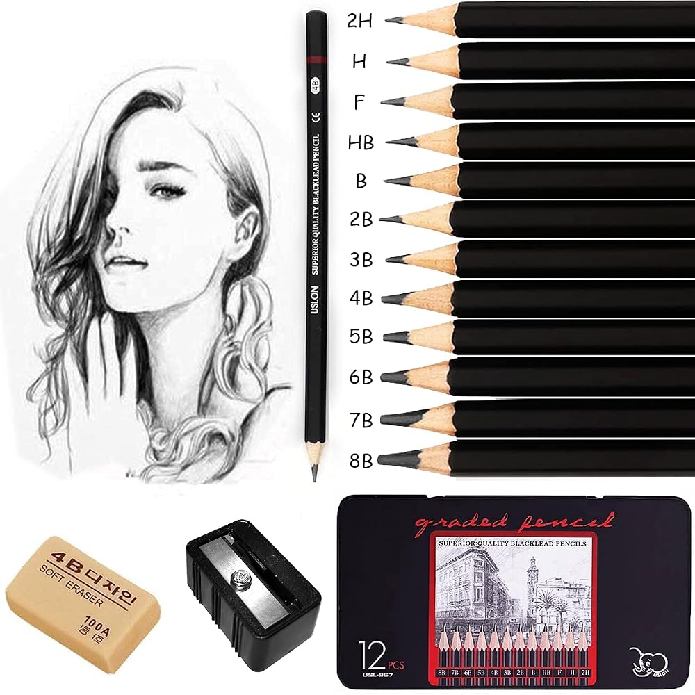 Surcotto Drawing Pencils, Professional Sketching Pencils Set with Eraser and Sharpener (8B-2H, 14-Count)