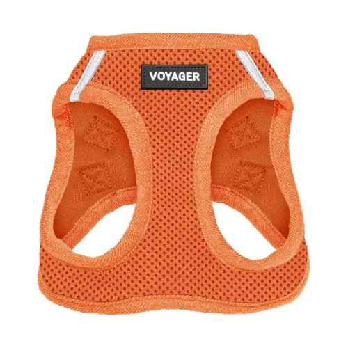 Voyager Step-In Air Dog Harness by Best Pet Supplies - All Weather Mesh Step in Vest Harness for Small and Medium Dogs, Orange, size L - Chest: 18 - 20.5"
