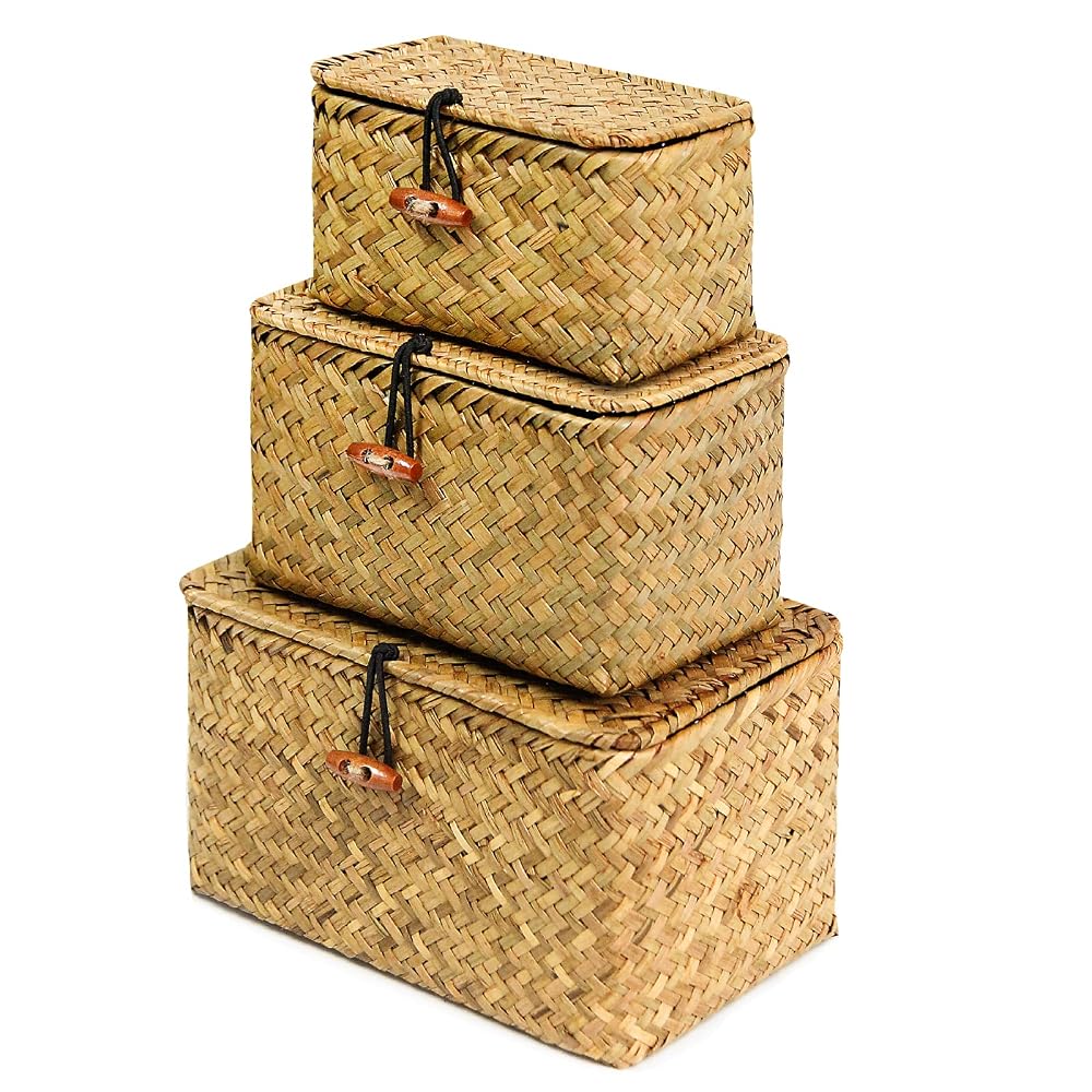 FEILANDUO Shelf Baskets with Lid, Set of 3 Handwoven Seagrass Storage Boxes
