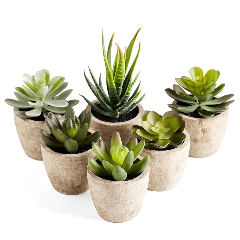 PRIMAISON Artificial Succulents Plants Potted Set, Decorative Fake Succulent Plant Faux Plastic Plant Indoor & Outdoor for House Office Desk Bathroom Kitchen DIY Decor Gift, Set of 6