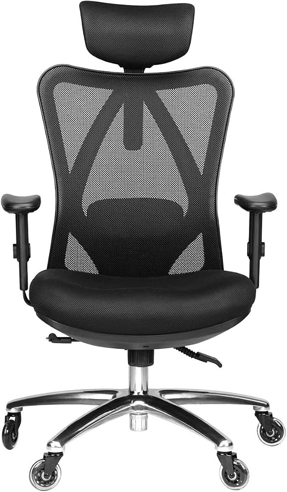 DOO Duramont Ergonomic Adjustable Office Chair with Lumbar Support, High Back Breathable Mesh