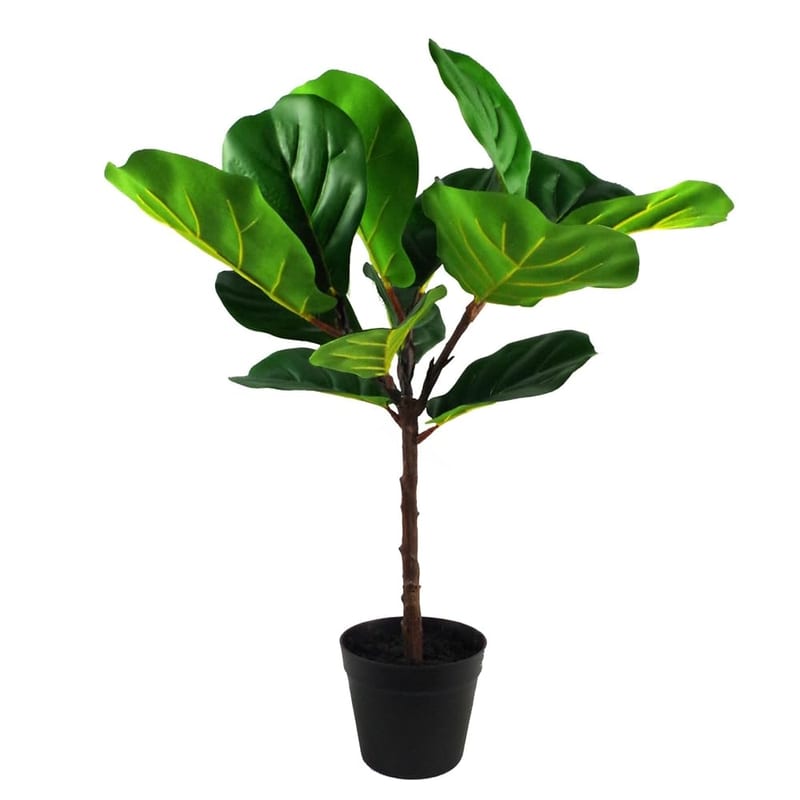 Leaf Design UK Artificial Fiddle Fig Tree Plant, Black Plastic Pot, Green, 60cm