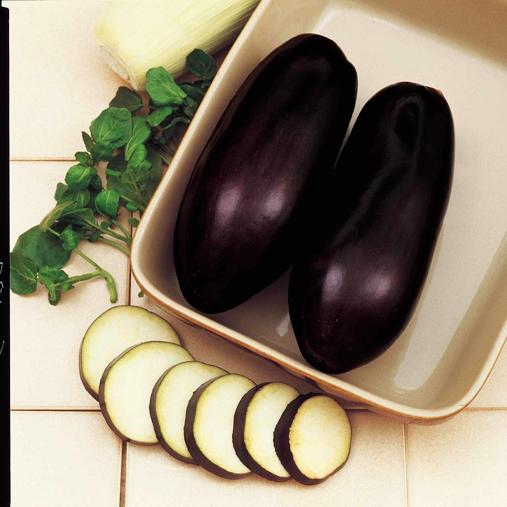 Suttons Aubergine Seeds Black Beauty (approx. 50 seeds)