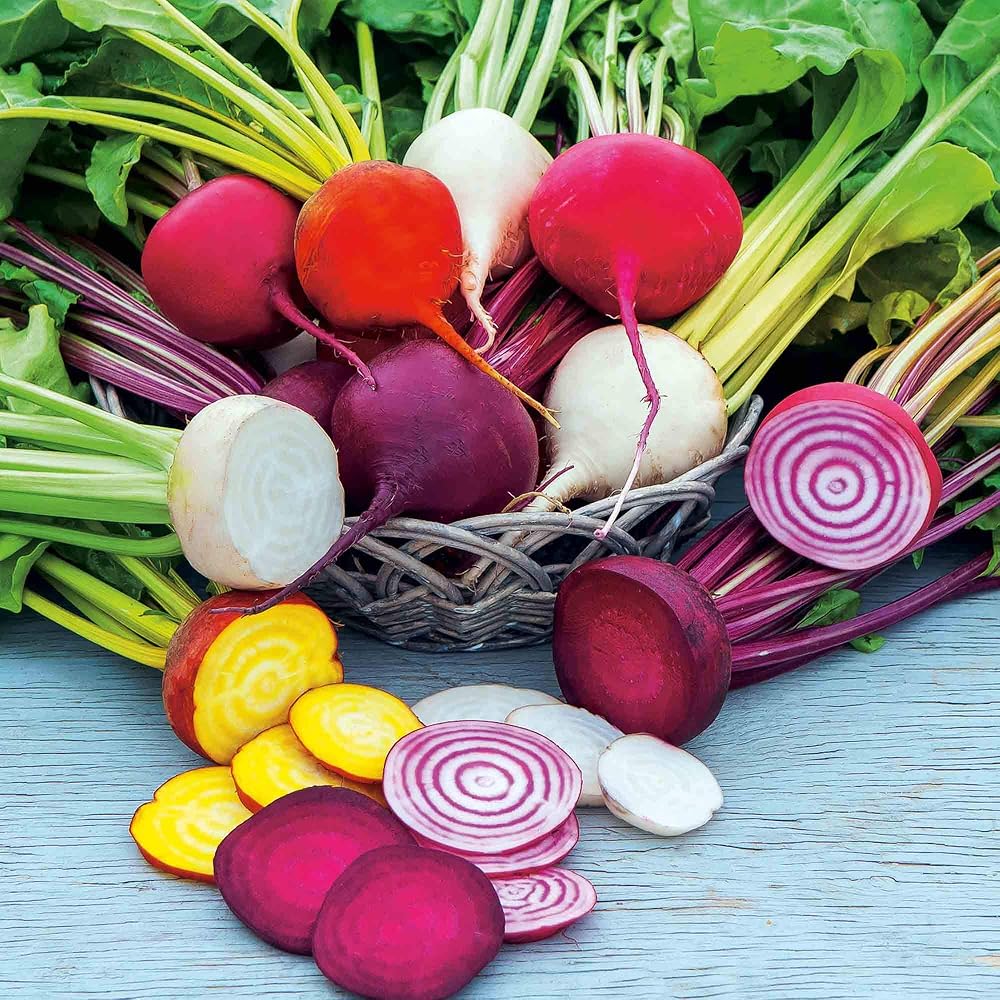 Suttons Beetroot Seeds Rainbow Mix (approx. 250 seeds)