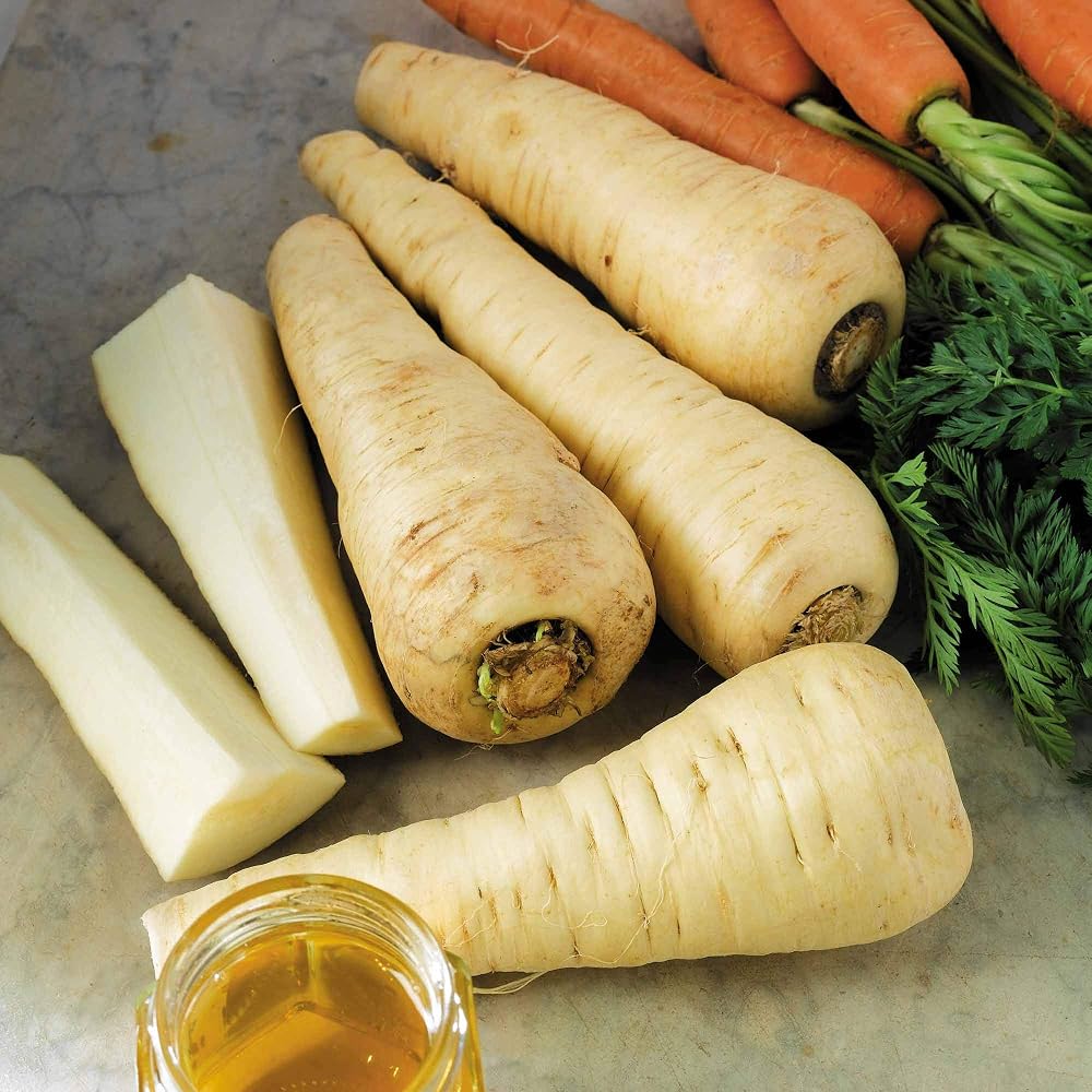 Suttons Parsnip Seeds F1 Albion, Approx. 380 Seeds per Pack