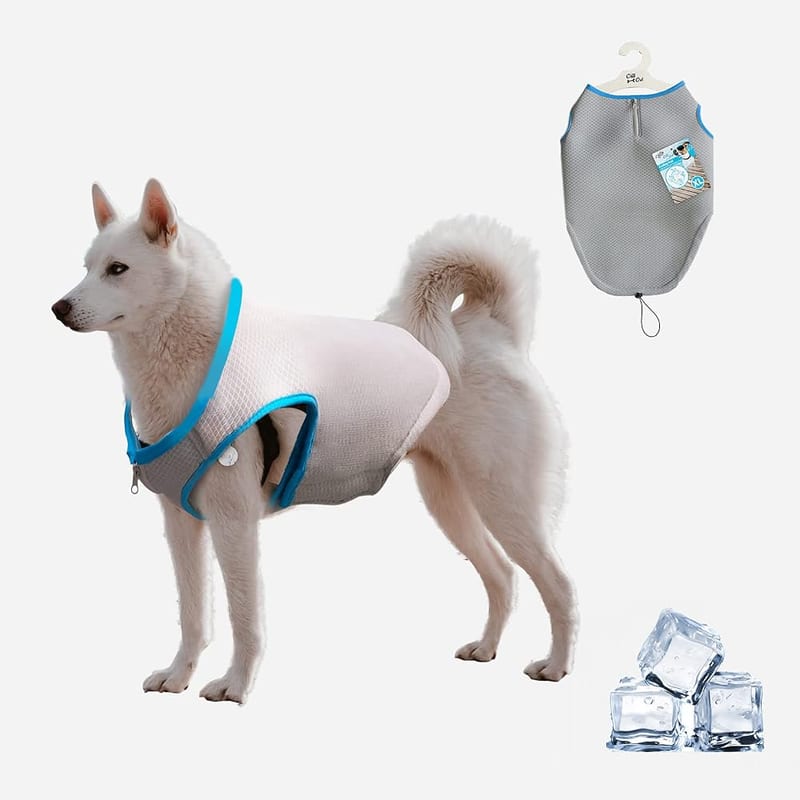 ALL FOR PAWS Dog Cooling Vest, Multi-Layer Cooling Jacket with Adjustable Drawstring for Outdoor Hunting, Training and Camping (Large)