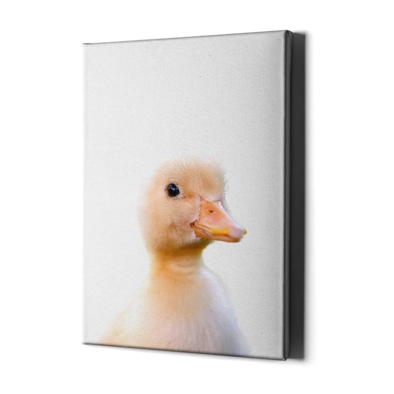 Decords Baby Duck Wall Canvas Art Decor, Nursery Toddler Infant Boy Room Picture Print, Yellow Farm Animal
