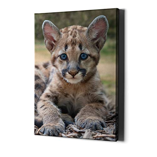 Decords Baby Leopard Canvas Wall Art Print, Nursery Girl Decor Safari Jungle Animal Picture